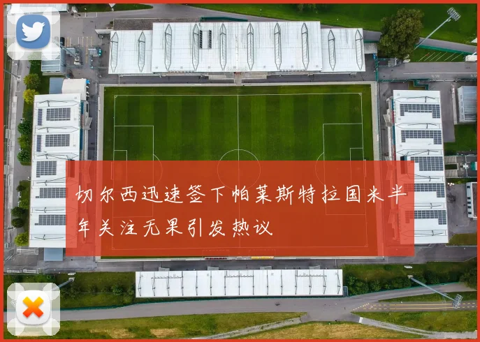 切尔西迅速签下帕莱斯特拉国米半年关注无果引发热议