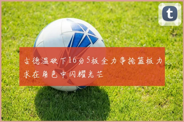 古德温砍下16分5板全力争抢篮板力求在角色中闪耀光芒